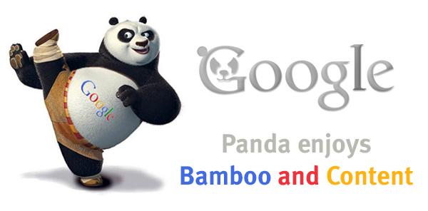 Google Panda