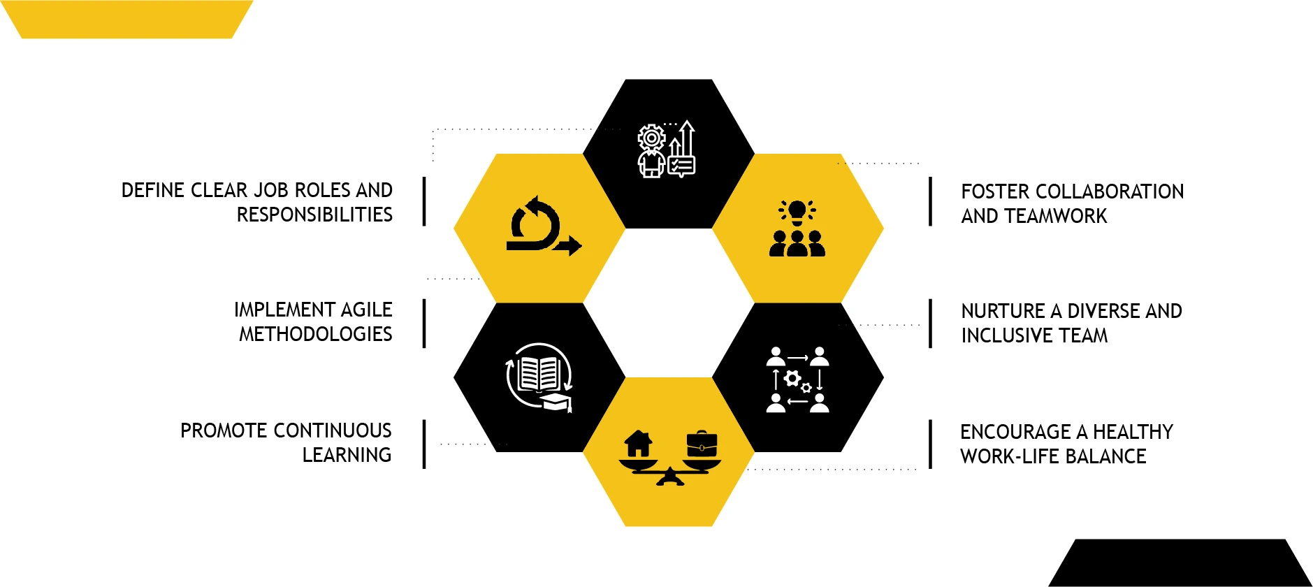 Effective Strategies to Build a Successful Software Development Team